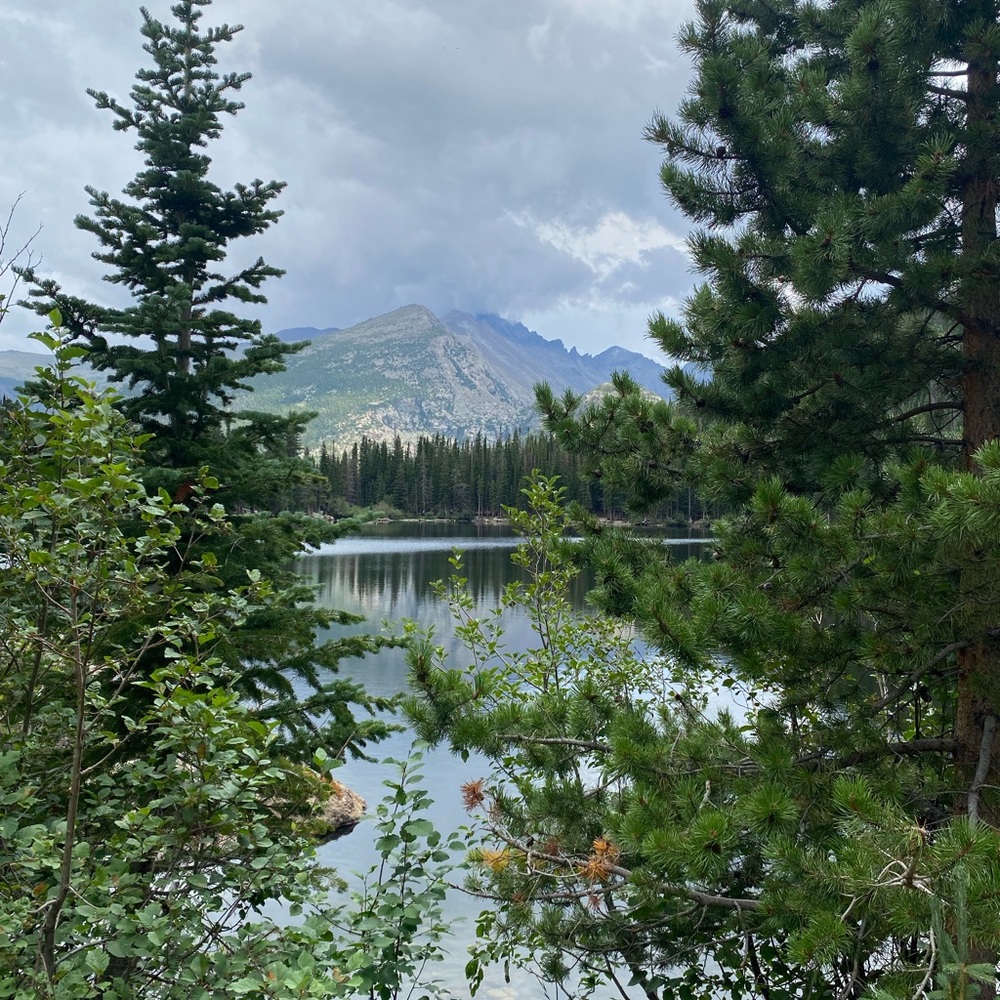 Meet your Posher, Andrea